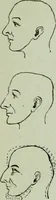 An illustration from Descriptive mentality from the head, face and hand (1899)