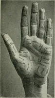 An illustration from Descriptive mentality from the head, face and hand (1899)