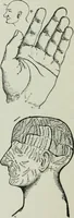 Picture 36 of 99 from Descriptive mentality from the head, face and hand (1899), leaf 133