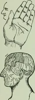 An illustration from Descriptive mentality from the head, face and hand (1899)