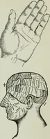 Picture 38 of 99 from Descriptive mentality from the head, face and hand (1899), leaf 135