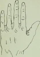 An illustration from Descriptive mentality from the head, face and hand (1899)