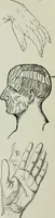 An illustration from Descriptive mentality from the head, face and hand (1899)