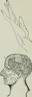 An illustration from Descriptive mentality from the head, face and hand (1899)