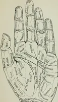 An illustration from Descriptive mentality from the head, face and hand (1899)