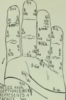 Picture 45 of 99 from Descriptive mentality from the head, face and hand (1899), leaf 146