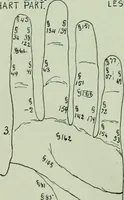 An illustration from Descriptive mentality from the head, face and hand (1899)