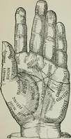 An illustration from Descriptive mentality from the head, face and hand (1899)