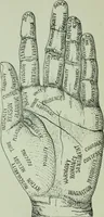An illustration from Descriptive mentality from the head, face and hand (1899)