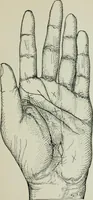 An illustration from Descriptive mentality from the head, face and hand (1899)