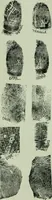An illustration from Descriptive mentality from the head, face and hand (1899)