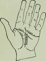 An illustration from Descriptive mentality from the head, face and hand (1899)