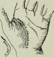 Picture 57 of 99 from Descriptive mentality from the head, face and hand (1899), leaf 167