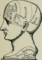 An illustration from Descriptive mentality from the head, face and hand (1899)