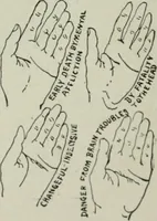 An illustration from Descriptive mentality from the head, face and hand (1899)