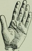 An illustration from Descriptive mentality from the head, face and hand (1899)