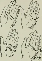 An illustration from Descriptive mentality from the head, face and hand (1899)