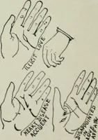 An illustration from Descriptive mentality from the head, face and hand (1899)