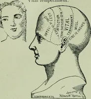 Picture 4 of 99 from Descriptive mentality from the head, face and hand (1899), leaf 18