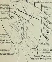 Picture 70 of 99 from Descriptive mentality from the head, face and hand (1899), leaf 181