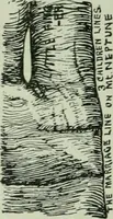 Picture 72 of 99 from Descriptive mentality from the head, face and hand (1899), leaf 182