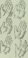 An illustration from Descriptive mentality from the head, face and hand (1899)