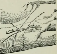 Picture 77 of 99 from Descriptive mentality from the head, face and hand (1899), leaf 187