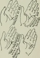 An illustration from Descriptive mentality from the head, face and hand (1899)