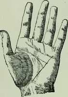 An illustration from Descriptive mentality from the head, face and hand (1899)
