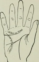 An illustration from Descriptive mentality from the head, face and hand (1899)