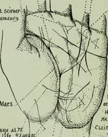 Picture 81 of 99 from Descriptive mentality from the head, face and hand (1899), leaf 190