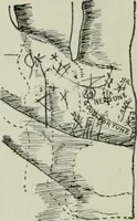 An illustration from Descriptive mentality from the head, face and hand (1899)