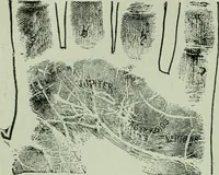 An illustration from Descriptive mentality from the head, face and hand (1899)