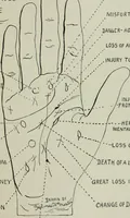 An illustration from Descriptive mentality from the head, face and hand (1899)