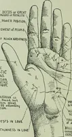 An illustration from Descriptive mentality from the head, face and hand (1899)