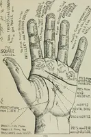 An illustration from Descriptive mentality from the head, face and hand (1899)