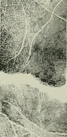 An illustration from Descriptive mentality from the head, face and hand (1899)