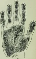 An illustration from Descriptive mentality from the head, face and hand (1899)