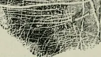 An illustration from Descriptive mentality from the head, face and hand (1899)