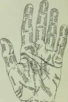 An illustration from Descriptive mentality from the head, face and hand (1899)