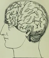 An illustration from Descriptive mentality from the head, face and hand (1899)