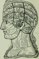 An illustration from Descriptive mentality from the head, face and hand (1899)