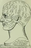 An illustration from Descriptive mentality from the head, face and hand (1899)