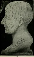 An illustration from Descriptive mentality from the head, face and hand (1899)