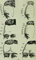 An illustration from Descriptive mentality from the head, face and hand (1899)