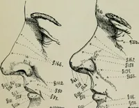 An illustration from Descriptive mentality from the head, face and hand (1899)