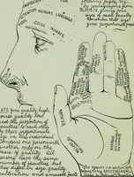 Picture 23 of 99 from Descriptive mentality from the head, face and hand (1899), leaf 52
