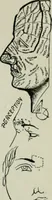 Picture 24 of 99 from Descriptive mentality from the head, face and hand (1899), leaf 53
