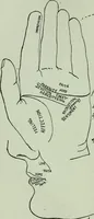 An illustration from Descriptive mentality from the head, face and hand (1899)