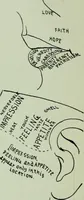 Picture 28 of 99 from Descriptive mentality from the head, face and hand (1899), leaf 80